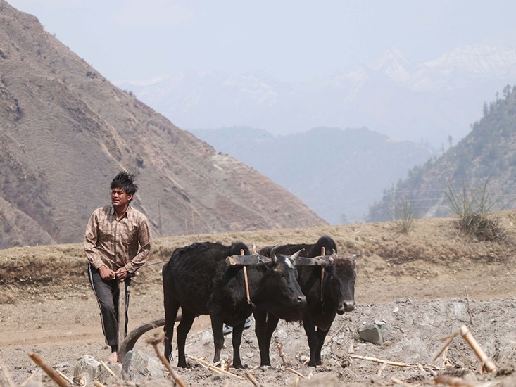 कर्णालीमा हलो जोत्दै अभिनेता प्रदीप